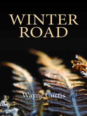 cover image of Winter Road